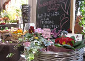 福井の花屋さん
