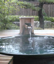 ����I�V���C
